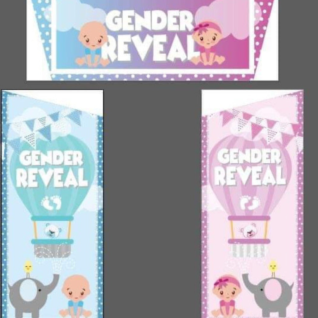 Gender Reveal Bounce 'n' Slide Blue & Purple