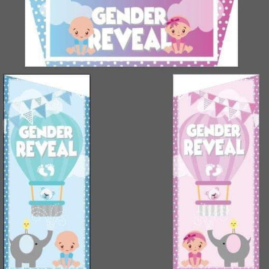 Gender Reveal Bounce 'n' Slide Multicoloured