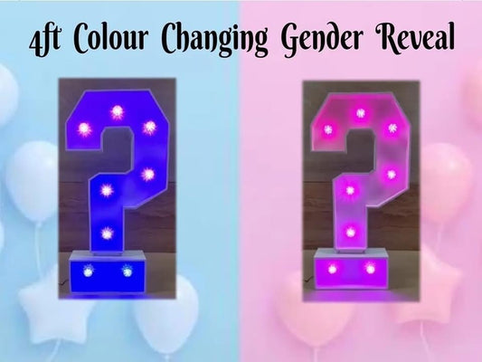 4ft LED Light Up Question Mark ?