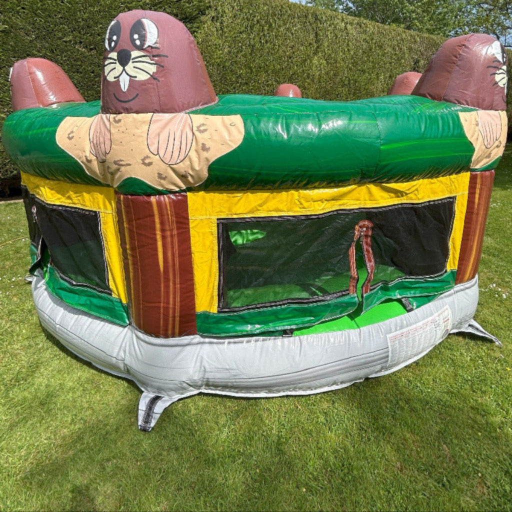 Whack A Mole / Inflatable Wakkamole