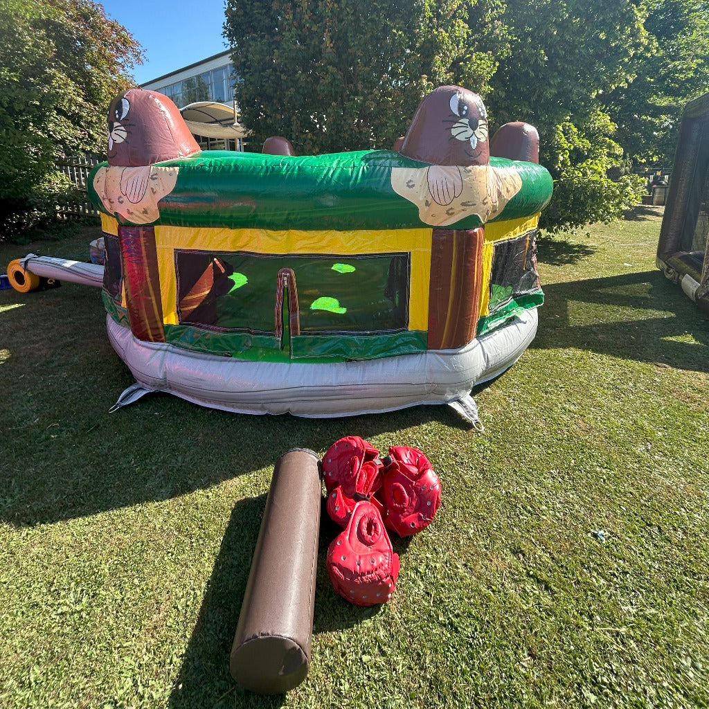 Whack A Mole / Inflatable Wakkamole
