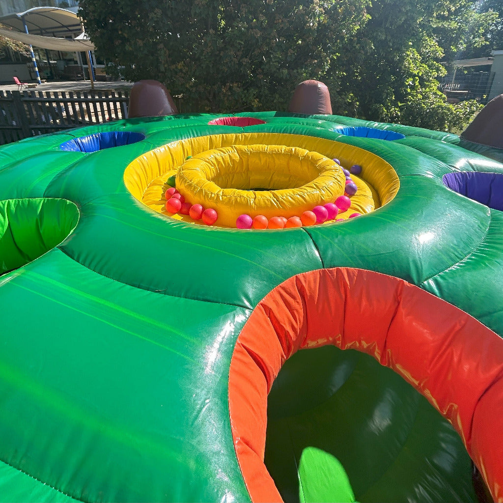 Whack A Mole / Inflatable Wakkamole
