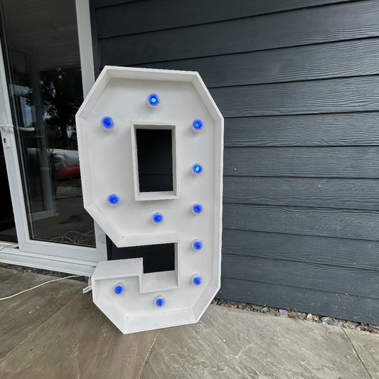 4ft LED Light Up Number 9