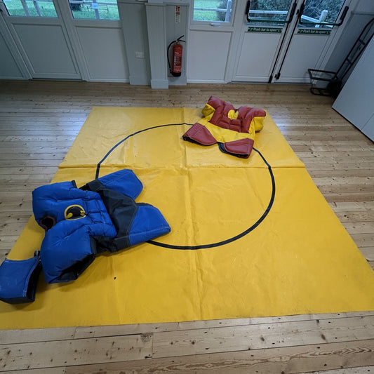 Child Superhero Sumo Wrestling Game