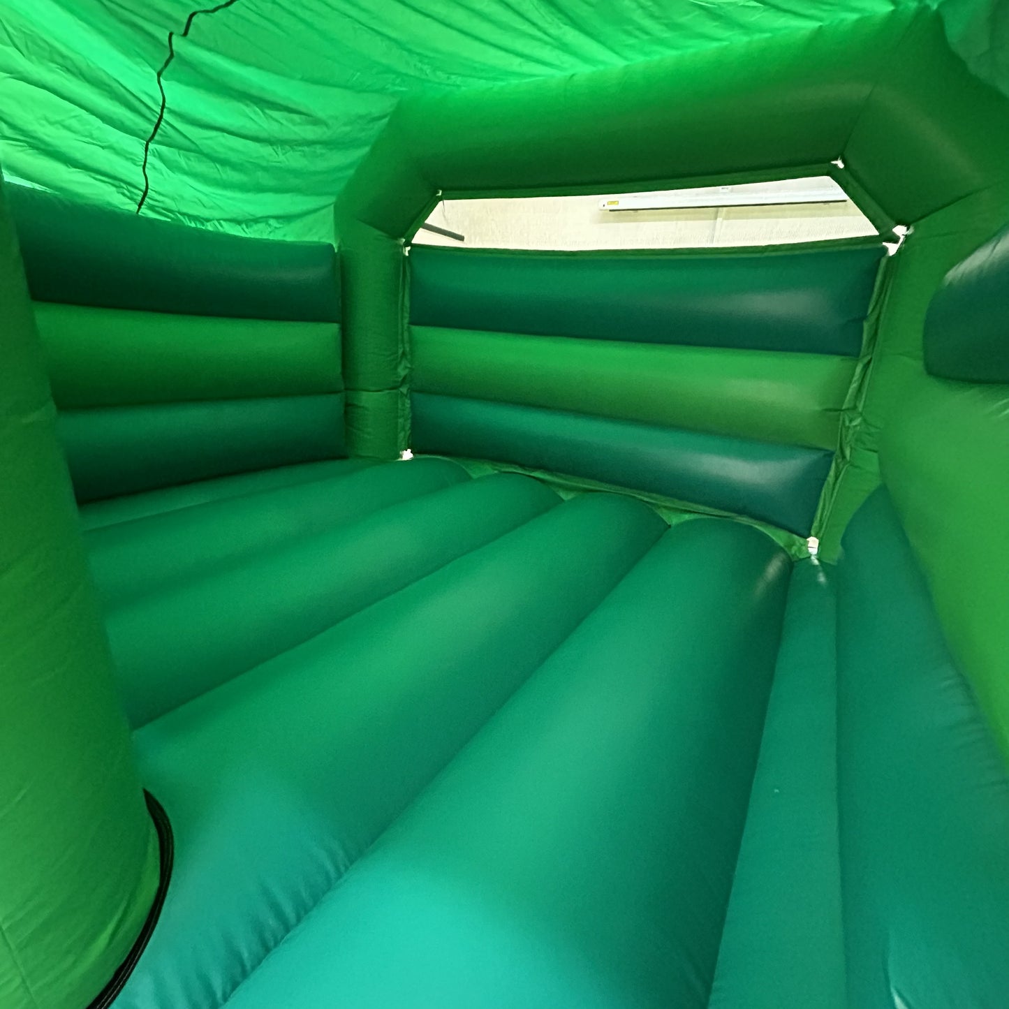 Green Bounce 'n' Slide Dancing Fruit & Funky Veggies Themed