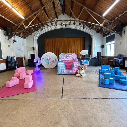 Gender Reveal Big Bundle Package Light Pastel Pink & Light Pastel Blue Inflatable Ball Pool Air Juggler, Soft Play Shapes 6ft Round Backdrop, 4ft LED Question Mark & Wooden Baby Blocks
