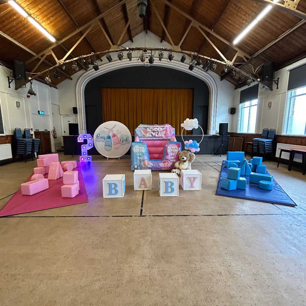Gender Reveal Big Bundle Package Light Pastel Pink & Light Pastel Blue Inflatable Ball Pool Air Juggler, Soft Play Shapes 6ft Round Backdrop, 4ft LED Question Mark & Wooden Baby Blocks