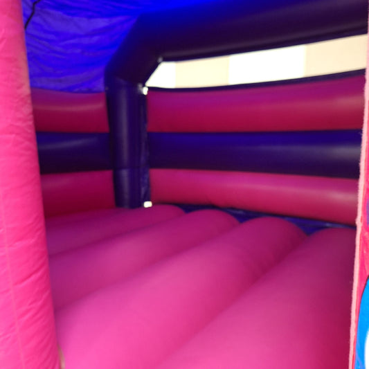Cute Unicorn Pink & Purple Bounce 'n' Slide