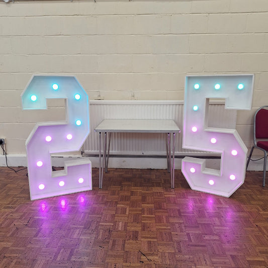 4ft LED Light Up Number 2