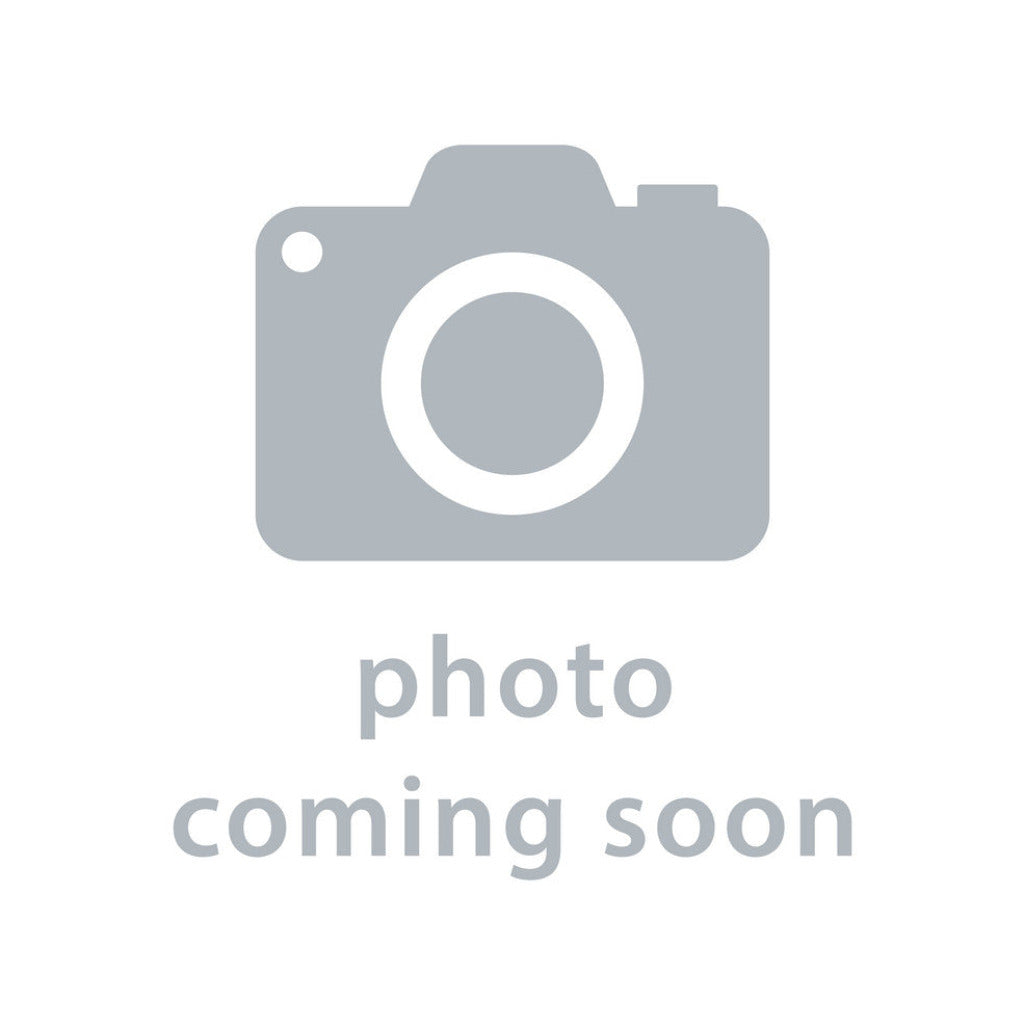 Blue Bounce 'n' Slide Fairy Themed