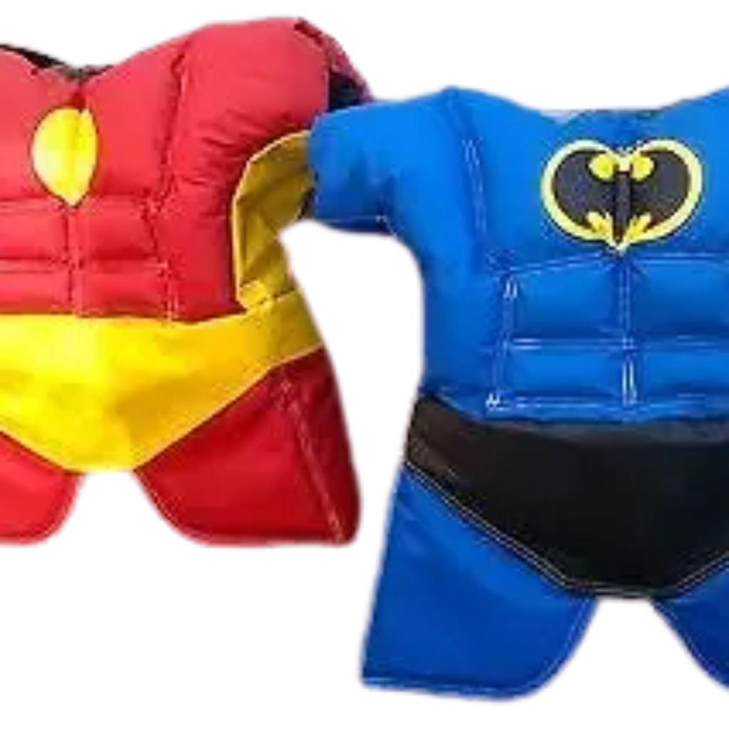 Child Superhero Sumo Wrestling Game