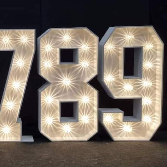 4ft LED Light Up Number 9