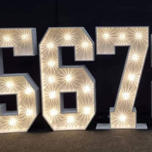 4ft LED Light Up Number 6