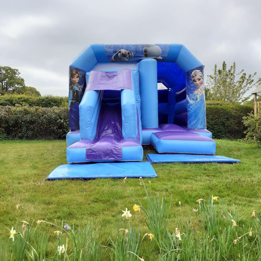 Blue & Purple Bounce 'n' Slide Frozen Themed