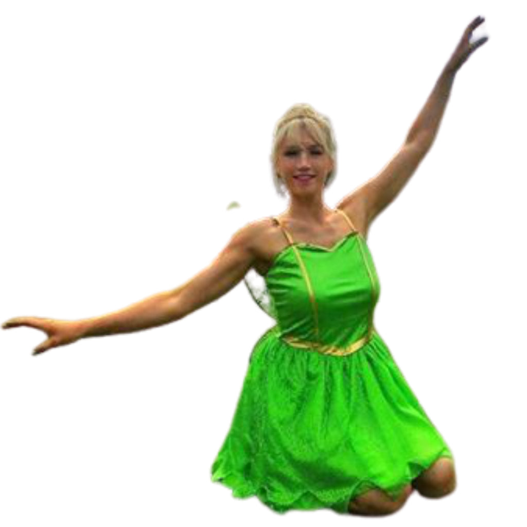 Tinker Fairy Character Appearance