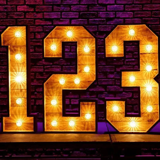 4ft LED Light Up Numbers 0-9 Rustic