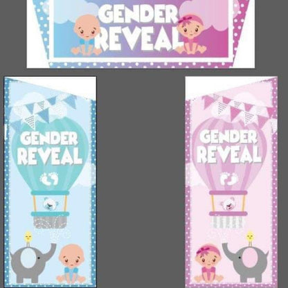 Gender Reveal Pastel Pink & Pastel Blue Bounce 'n' Slide