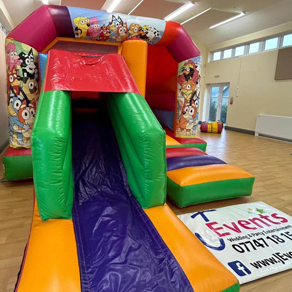 Bluey Multicoloured Bounce 'n' Slide