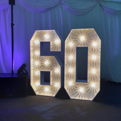 4ft LED Light Up Numbers 0-9