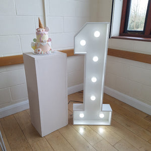 4ft LED Light Up Number 1