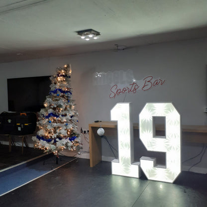 4ft LED Light Up Numbers 0-9