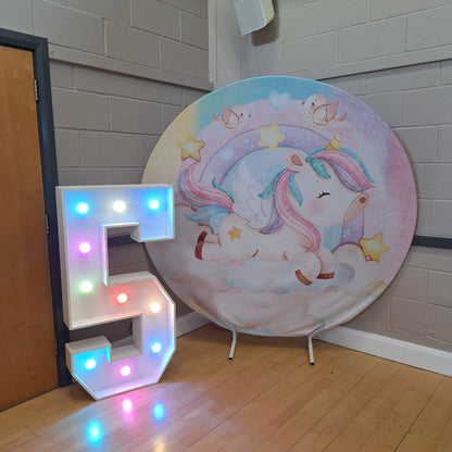 4ft LED Light Up Number 5