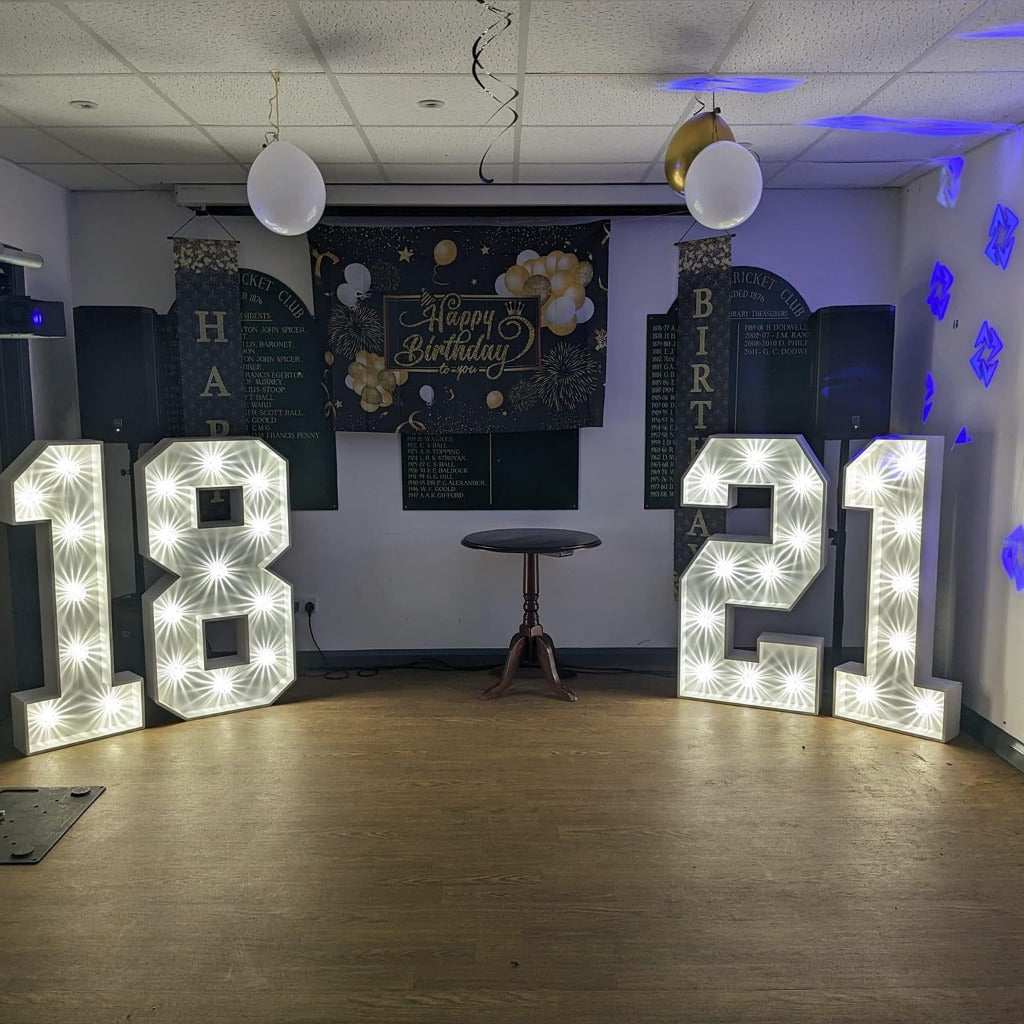 4ft LED Light Up Numbers 0-9