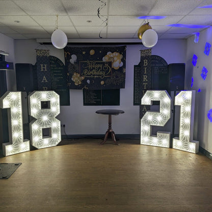4ft LED Light Up Numbers 0-9