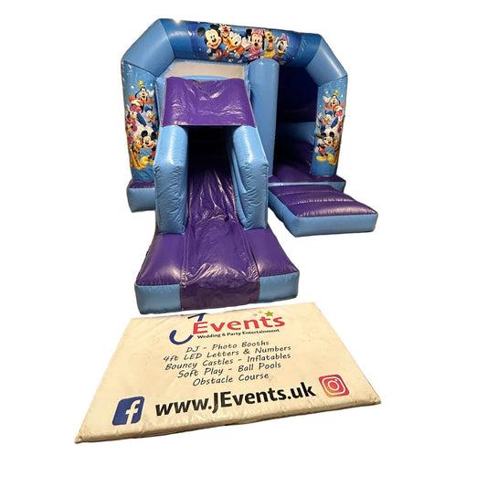Mouse Blue & Purple Bounce 'n' Slide