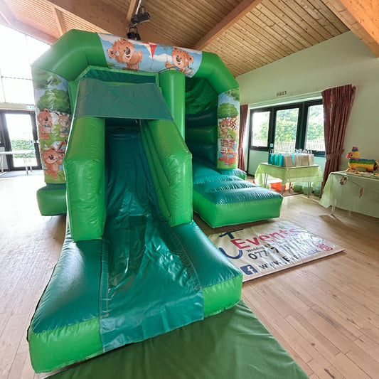 Teddy Bear Picnic Bounce 'n' Slide Green