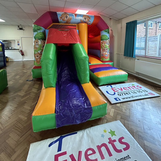 Teddy Bear Picnic Bounce 'n' Slide Multicoloured