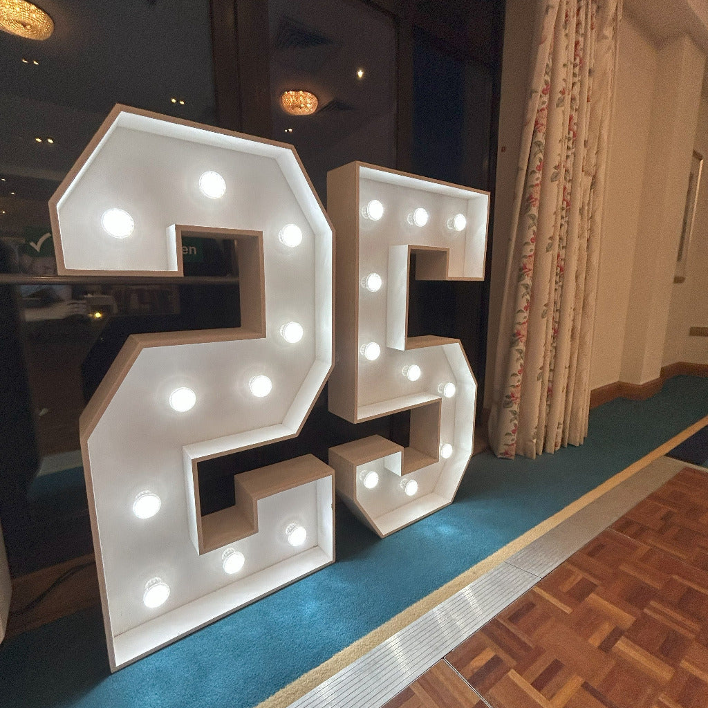 4ft LED Light Up Numbers 0-9