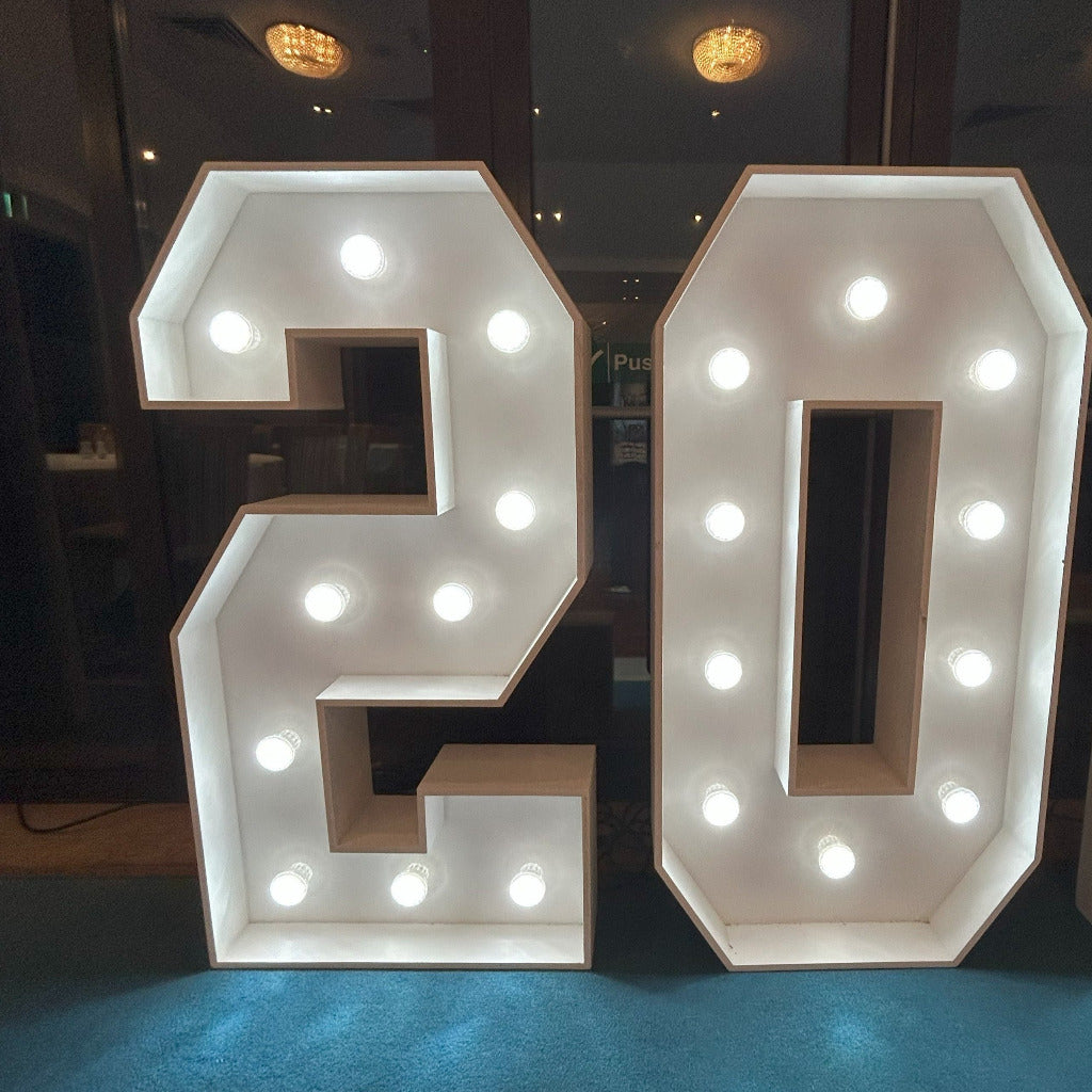 4ft LED Light Up Numbers 0-9