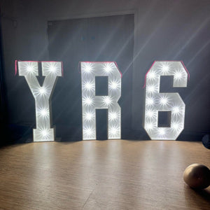 4ft LED Y R Letters & Number 6