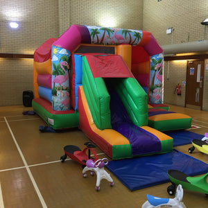 Multicoloured Bounce 'n' Slide Flamingos Themed