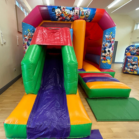 Mouse Multicoloured Bounce 'n' Slide