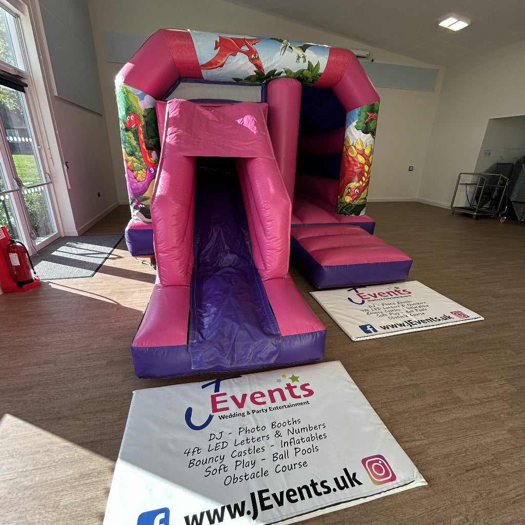 Cartoon Dinosaur Bounce 'n' Slide Pink & Purple