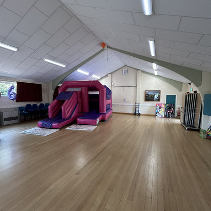 Pink & Purple Bounce 'n' Slide Plain
