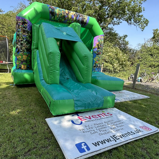 Teenage Mutant Ninja Turtles TMNT Green Bounce 'n' Slide