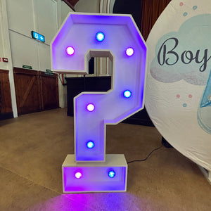 4ft LED Light Up Number 1