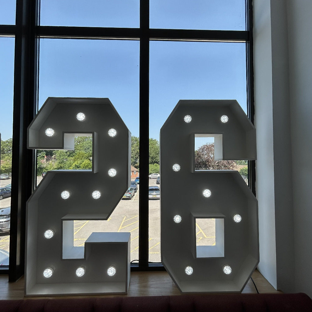 4ft LED Light Up Numbers 0-9