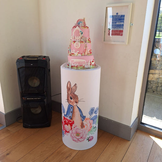 Acrylic Plinth Display Stand Peter Rabbit