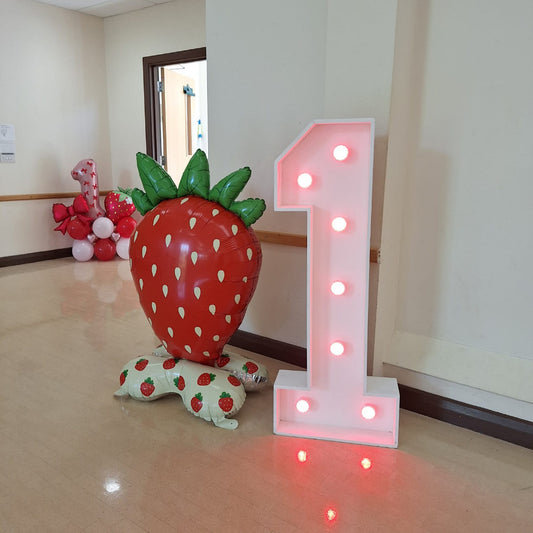 4ft LED Light Up Number 1