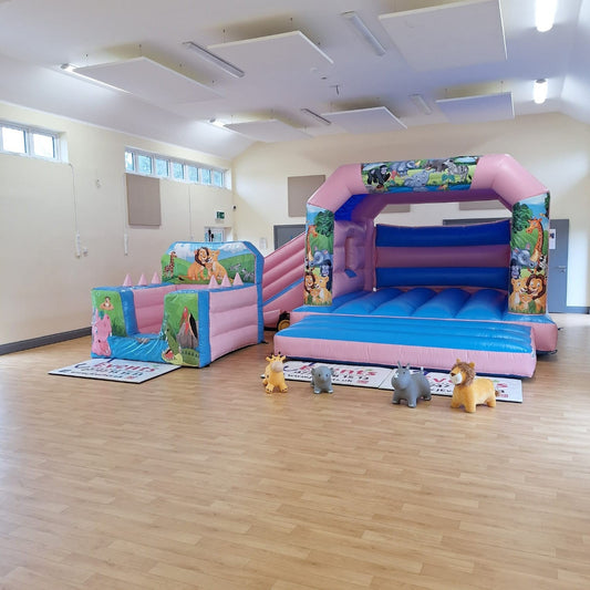 Jungle Pastel Pink & Pastel Blue Bounce 'n' Slide