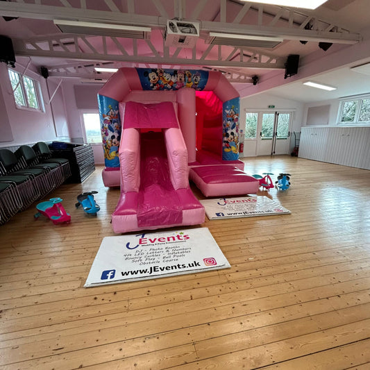 Mouse Pastel Pink Bounce 'n' Slide