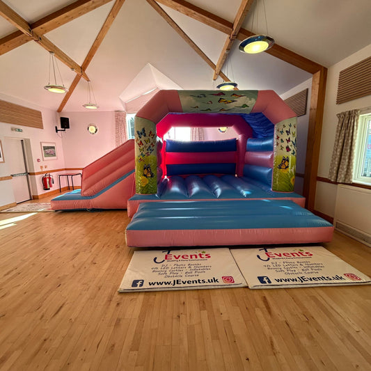 Butterfly Pastel Pink & Pastel Blue Bounce 'n' Slide