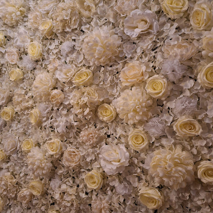 White & Cream Silk Flower Wall