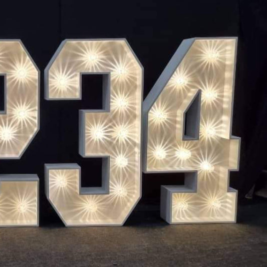 4ft LED Light Up Number 4
