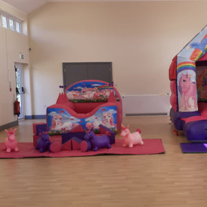 Animal Hoppers, Ball Pool & Soft Play Package (Choose Your Theme / Mixed Colours)