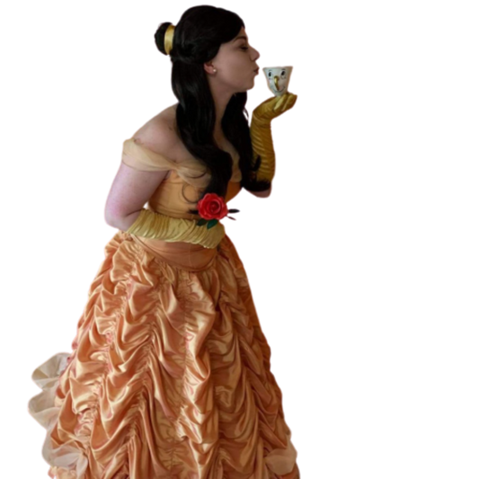 Princess Beauty Character Appearance